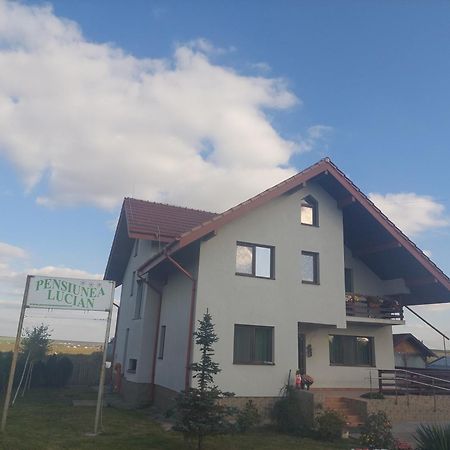 Pensiunea Lucian Baltati Exterior photo