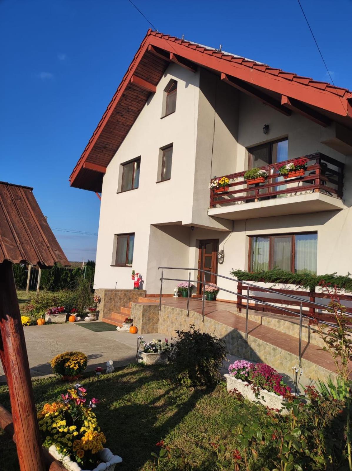 Pensiunea Lucian Baltati Exterior photo