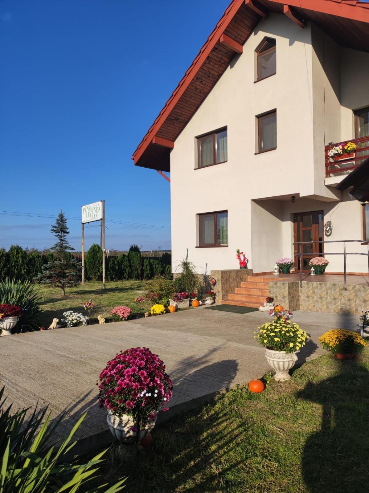 Pensiunea Lucian Baltati Exterior photo
