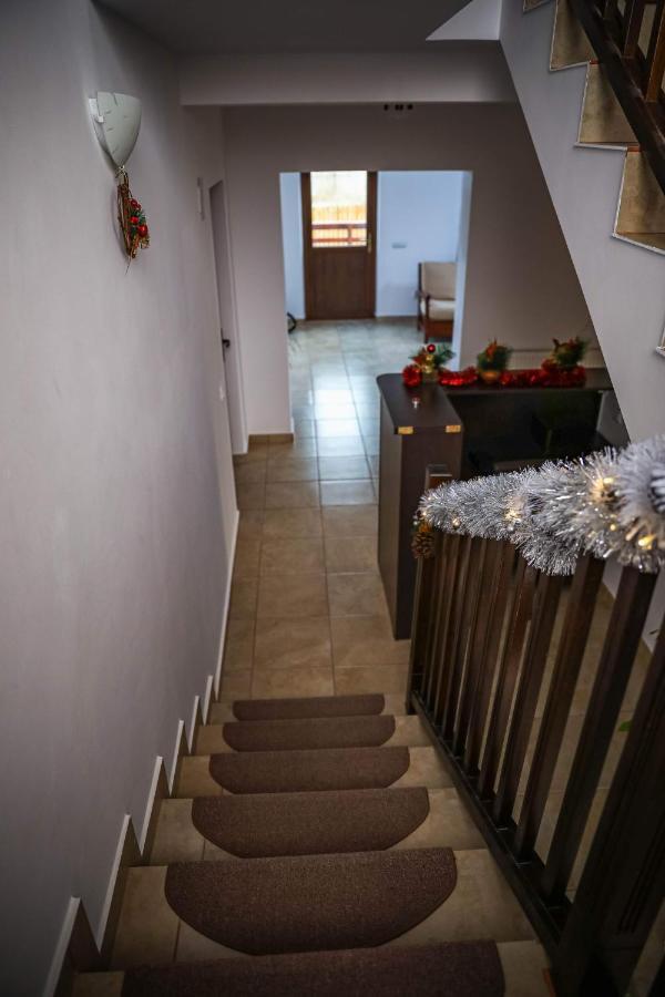 Pensiunea Lucian Baltati Exterior photo